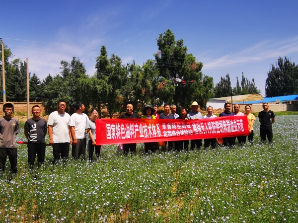 植保所在定西市开展国家特色油料产业技术体系草害防控岗位项目现场测试