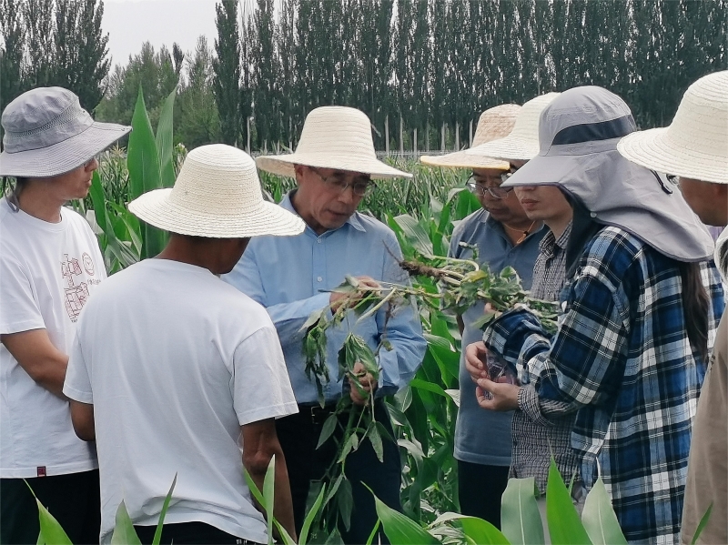 土肥所联合中国农大多样性种植专业团队开展学科调研