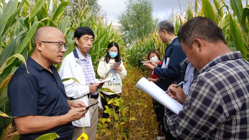 国家大豆产业技术体系兰州综合试验站与省农技站组队赴全省不同生态区开展大豆生产调研