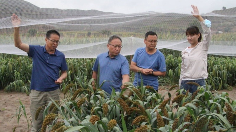 樊廷录赴会宁试验站检查院列生物育种项目